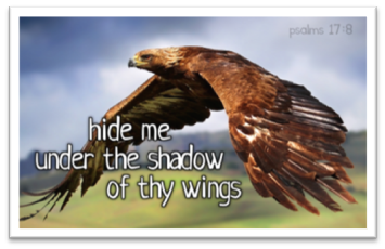 Hide Me Under The Shadow Of Thy Wings Part 2